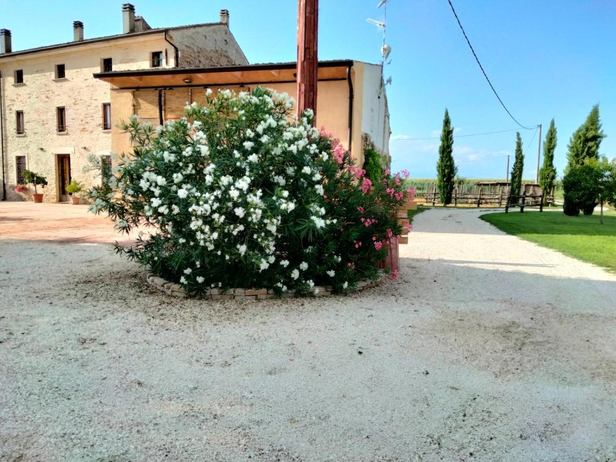 B&B Turistic 7 Castel Goffredo 외부 사진