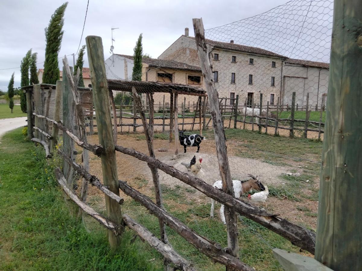 B&B Turistic 7 Castel Goffredo 외부 사진